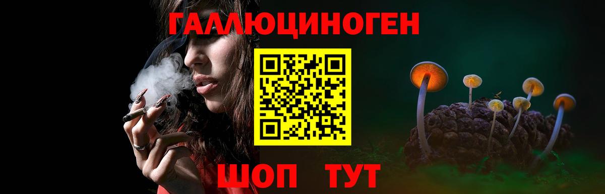 Псилоцибиновые грибы мухоморы  Вход с VPN  Кировск  купить  сайты  Псилоцибиновые грибы ЛСД 